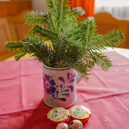 Schimmer Mit Bergblick Im Ruhigen, Naturverbundenen Vorauf, Apartment